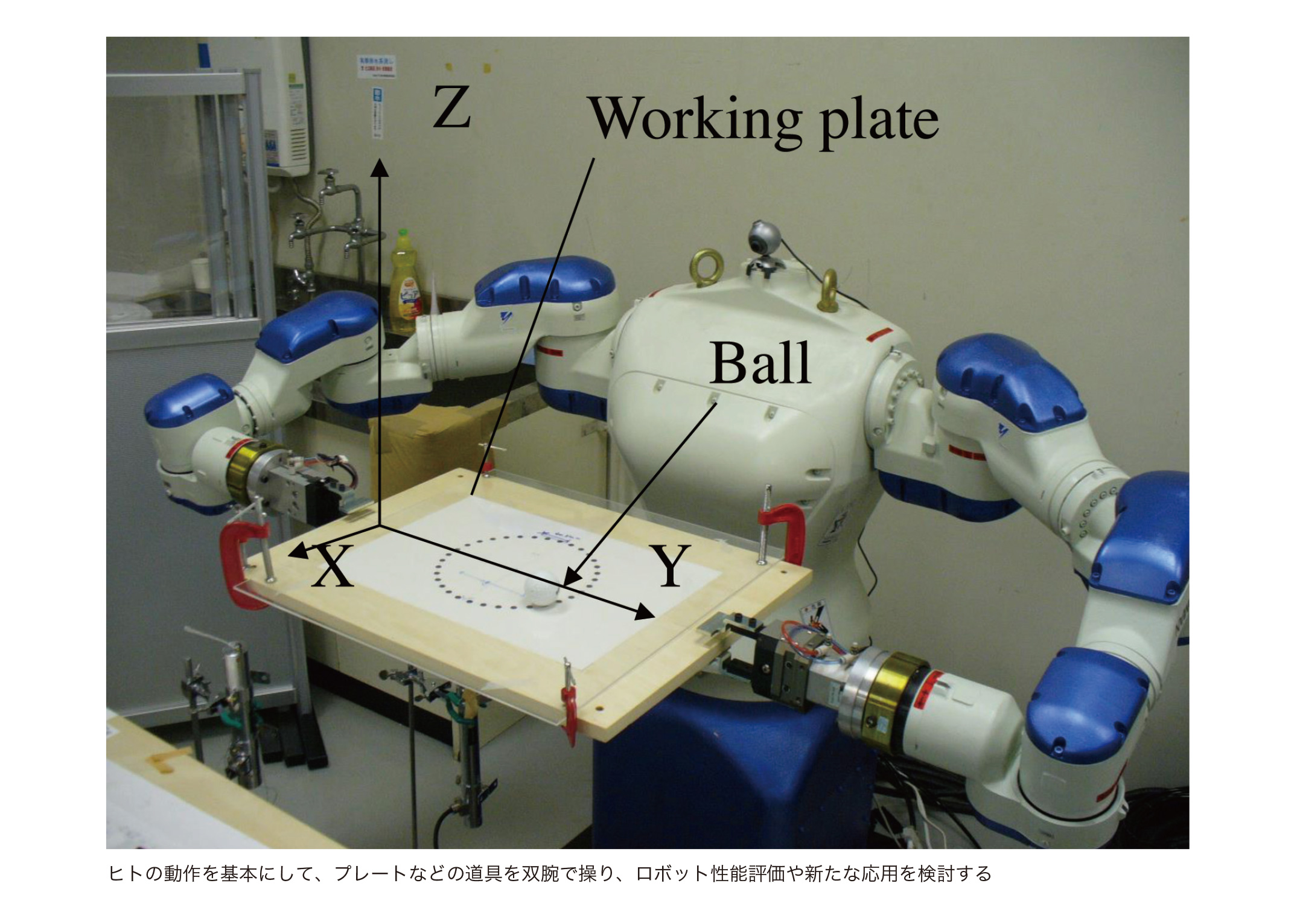 HIROGAKI Toshiki(Faculty of Science and Engineering